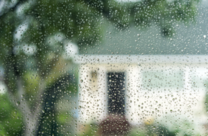 rainscreen cladding